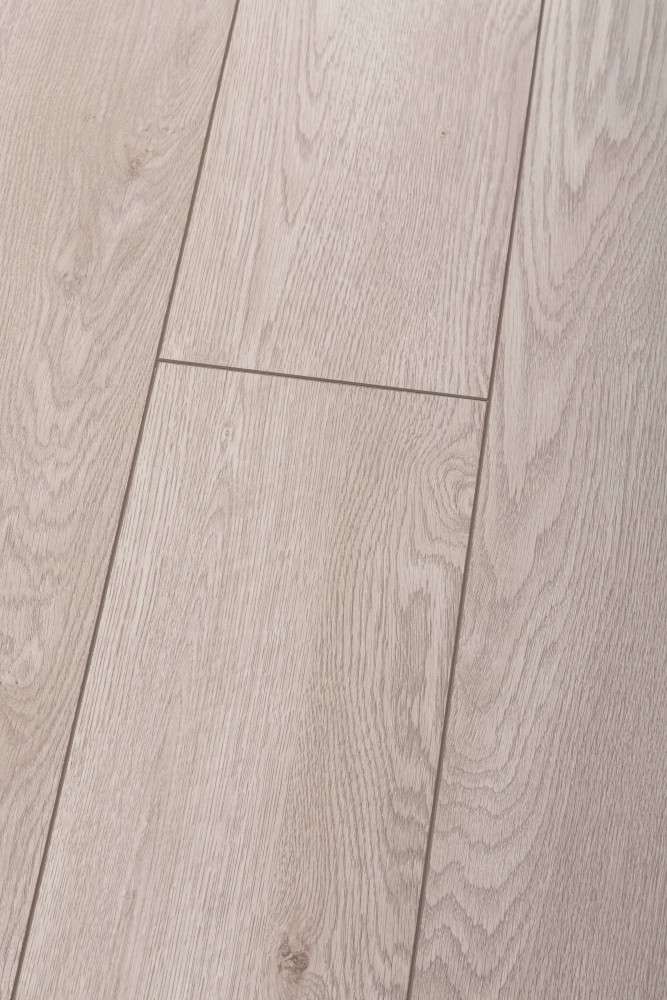 Panneau stratifié Chêne Biszkoptowy – Premium Floor