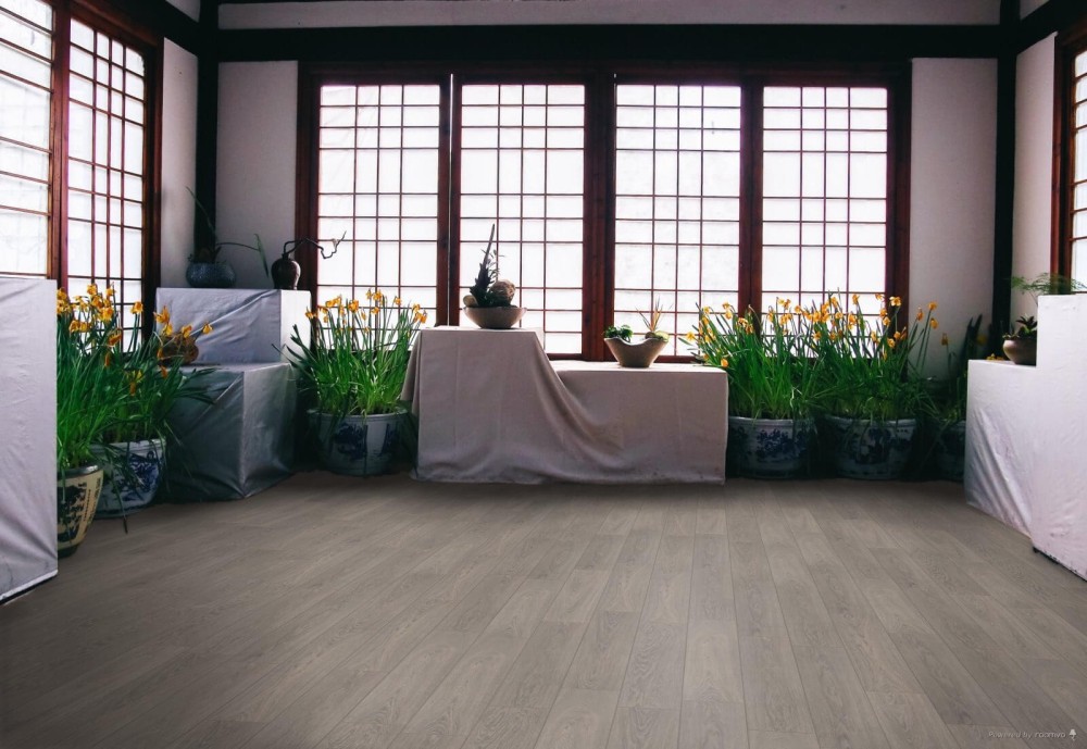 Panneau stratifié Chêne Popielaty – Premium Floor