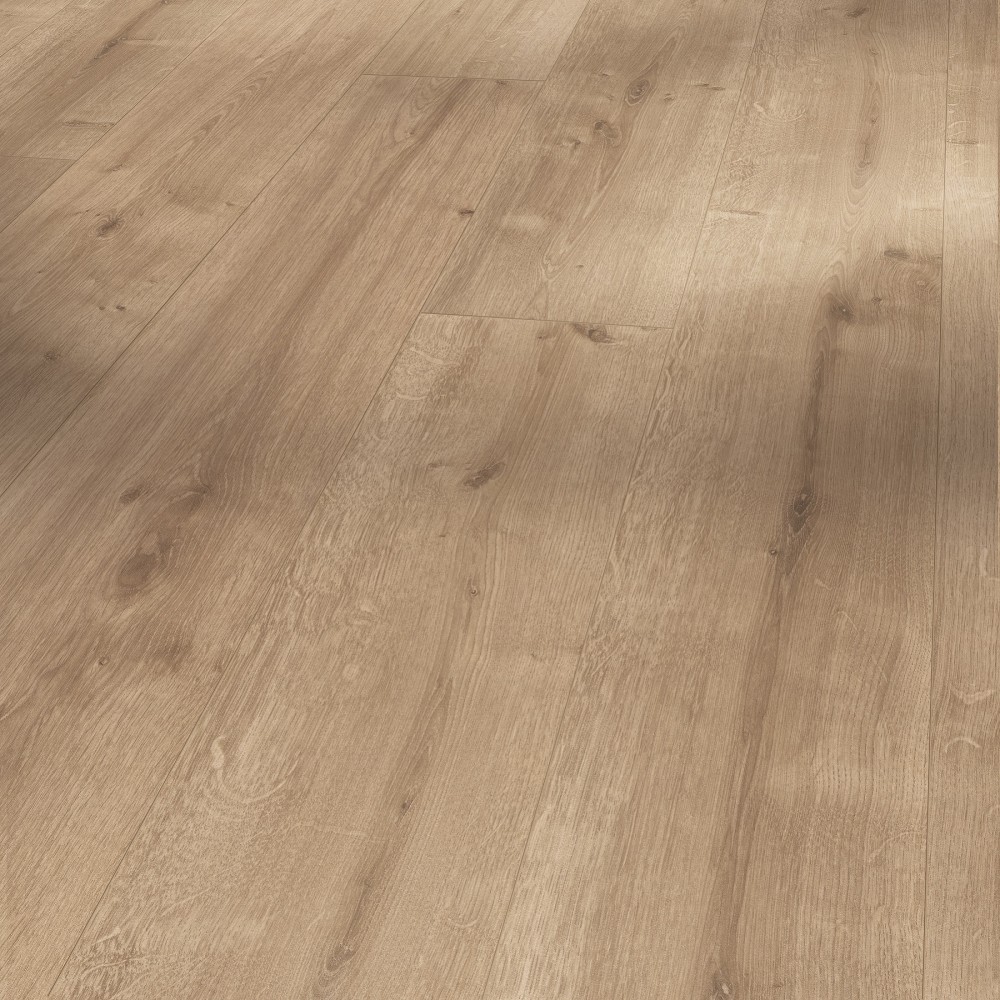 Panneau stratifié Chêne Piaskowy – Premium Floor