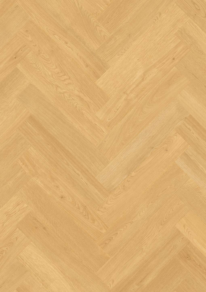 Panneau stratifié Chêne Monarch – Premium Floor