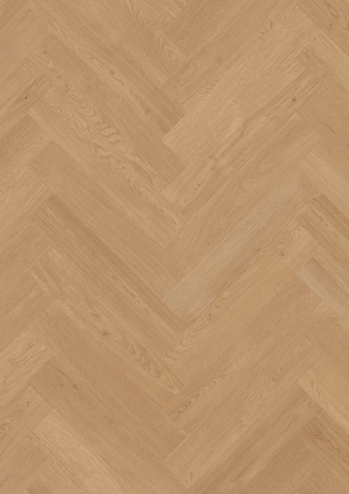 Panneau stratifié Chêne Vittoria – Premium Floor