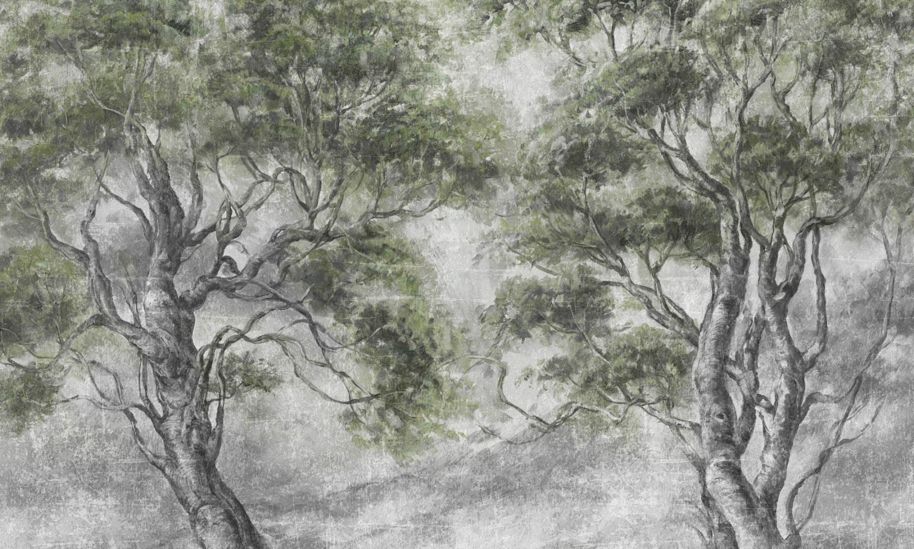 Papier peint Forest escape – Rauv