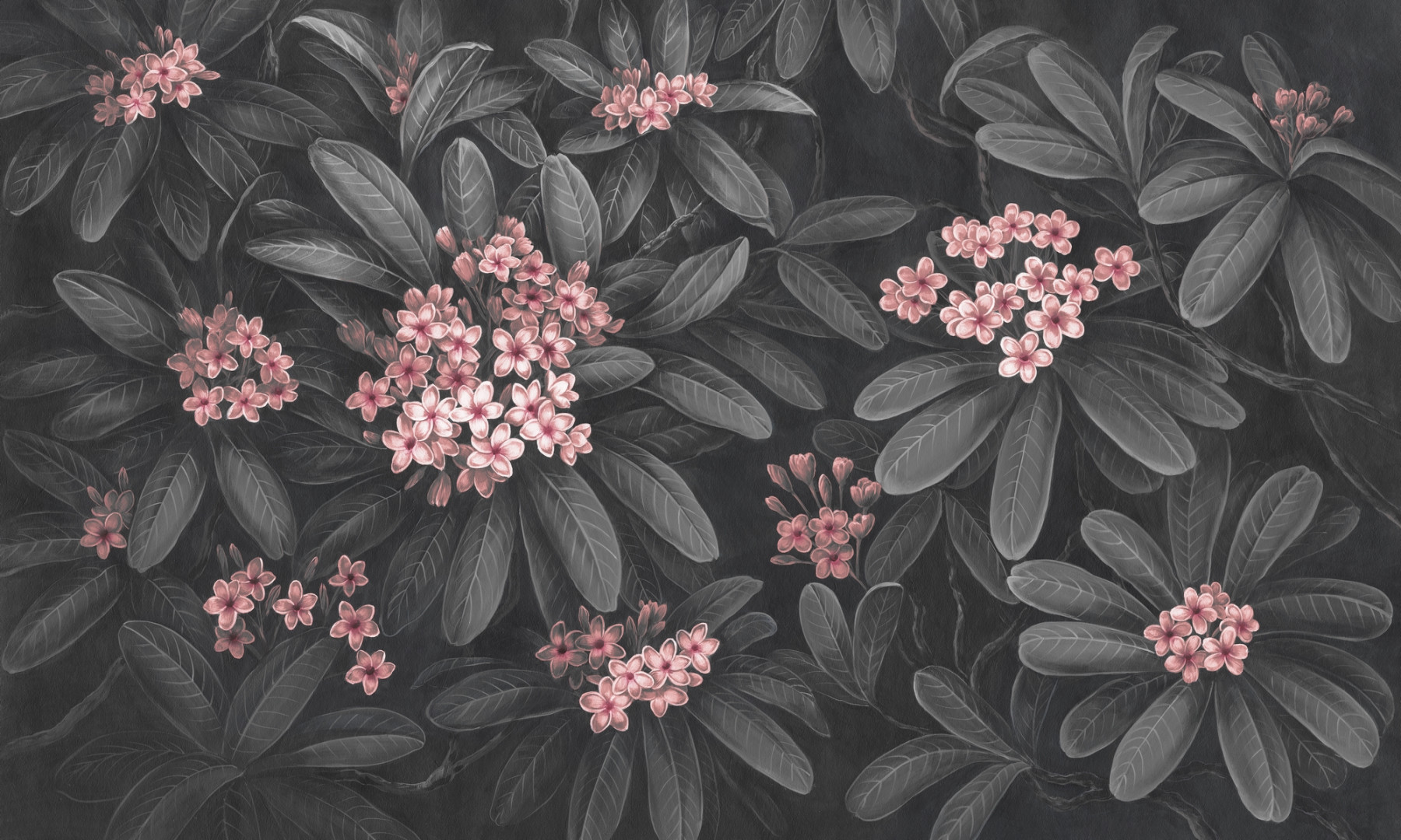 Papier peint Frangipani 2 – Rauv