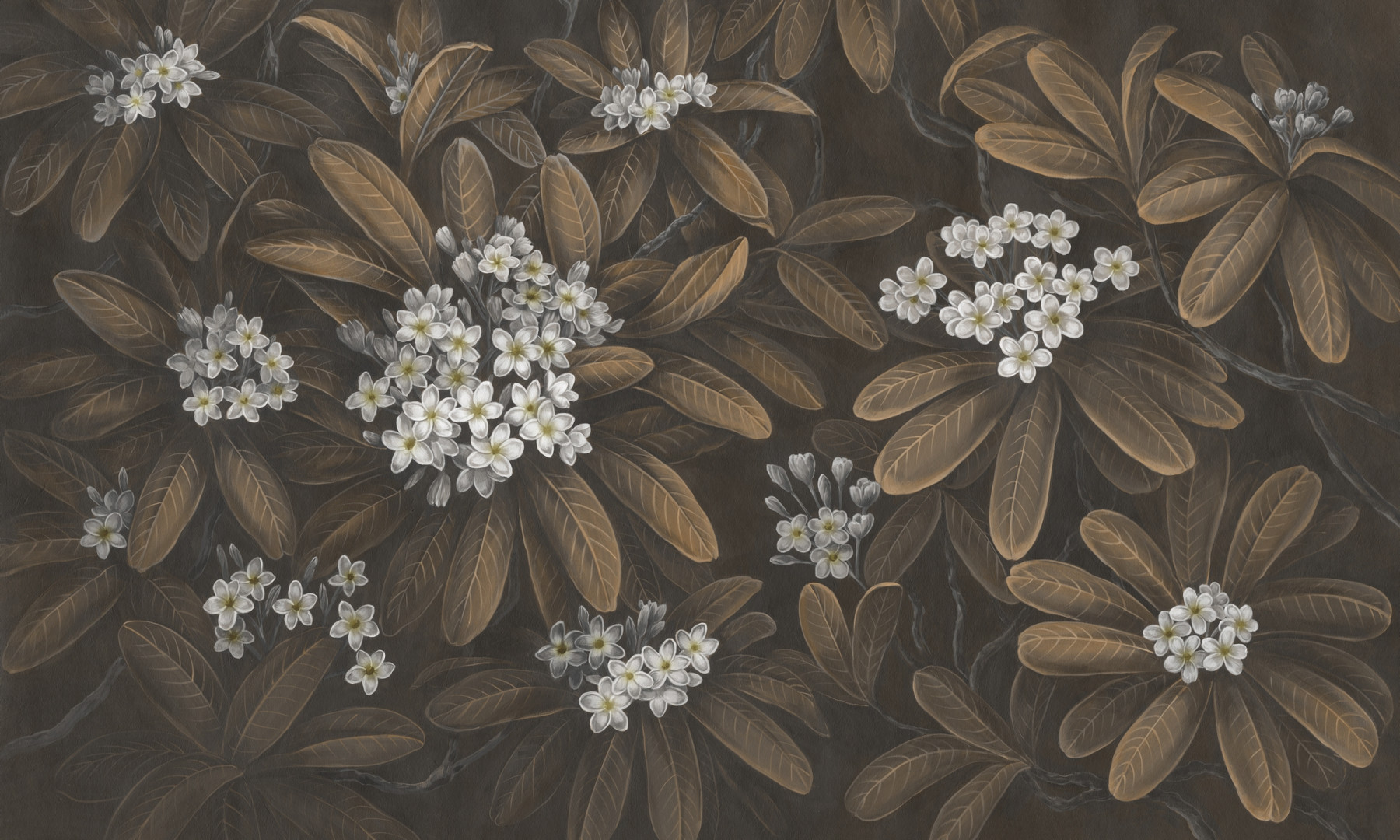 Papier peint Frangipani 3 – Rauv