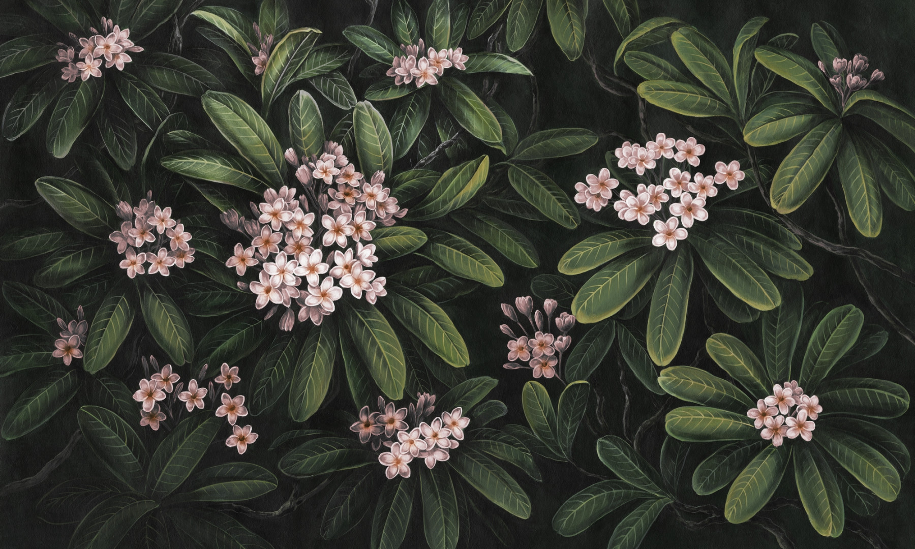 Papier peint Frangipani – Rauv
