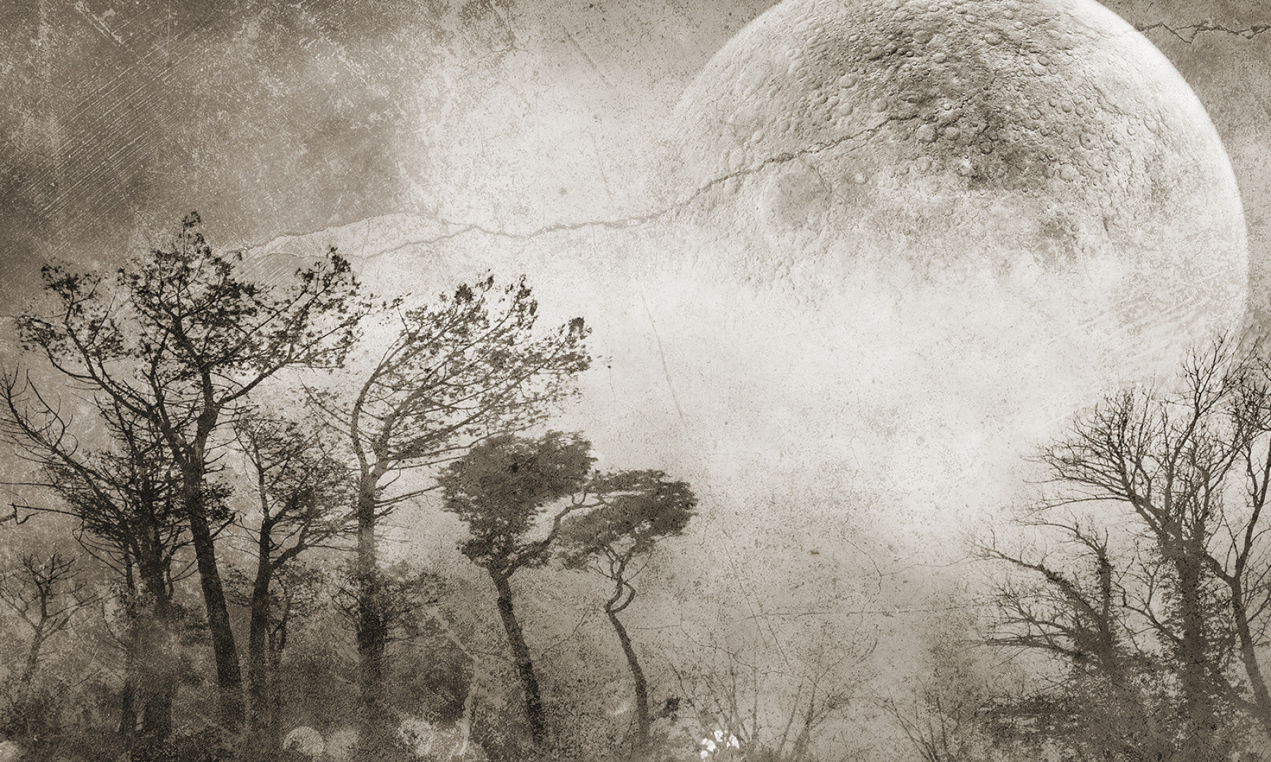Papier peint Moonlight 2 – Rauv