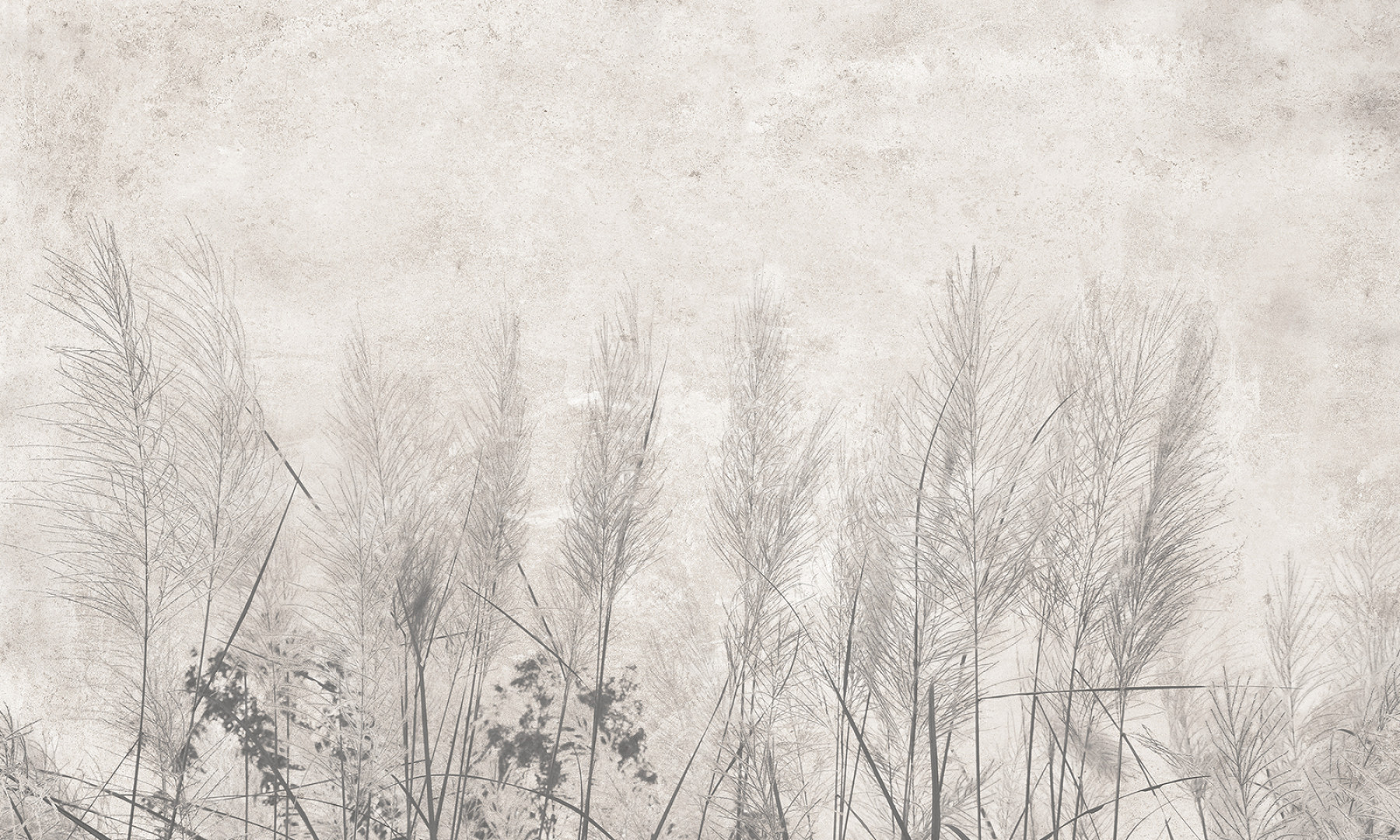 Papier peint Morning mist – Rauv