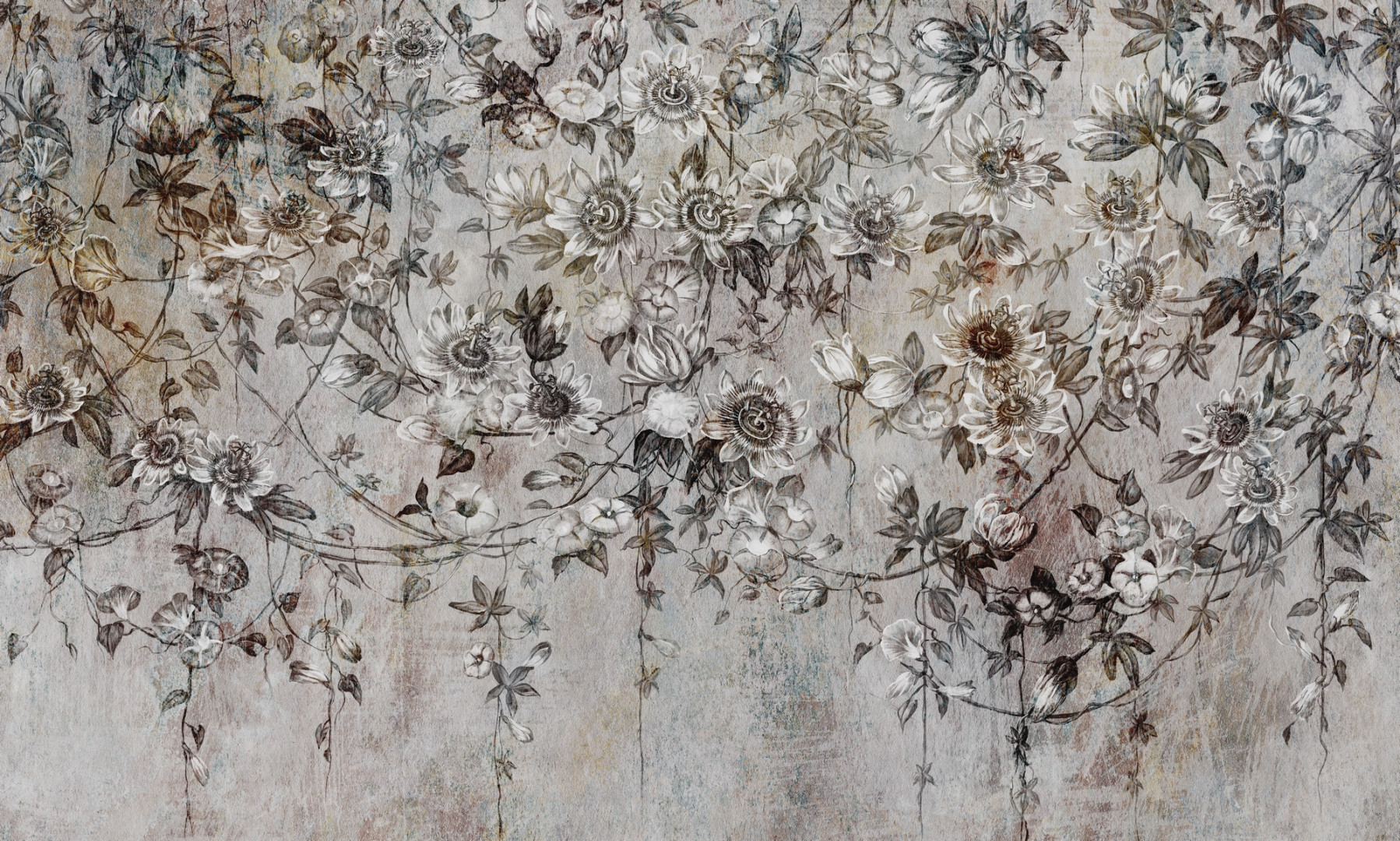 Papier peint Passiflora – Rauv
