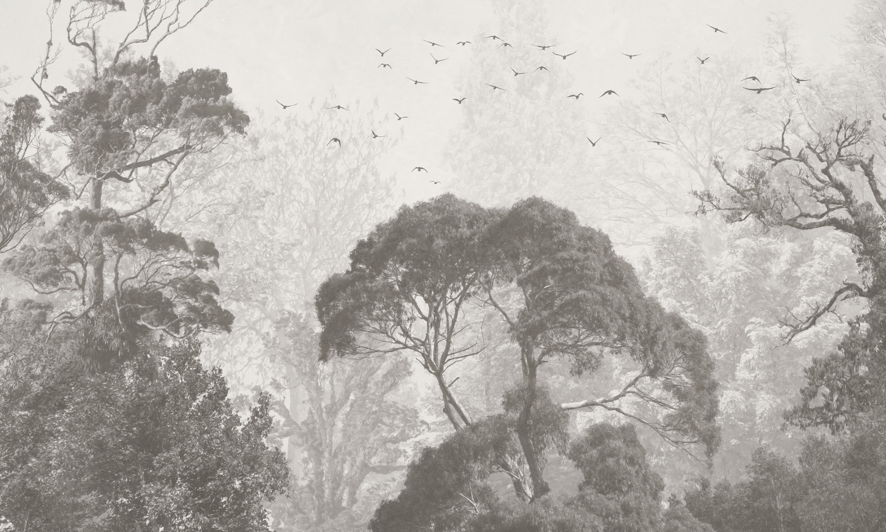 Papier peint Rainforest – Rauv