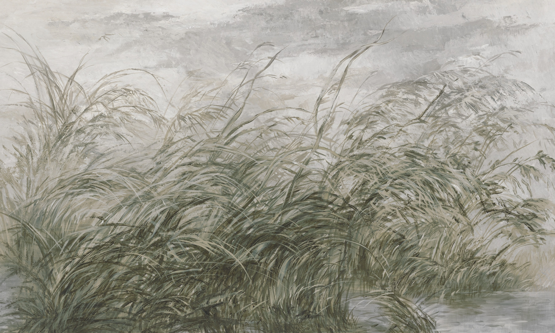 Papier peint Early dawn 2 – Rauv