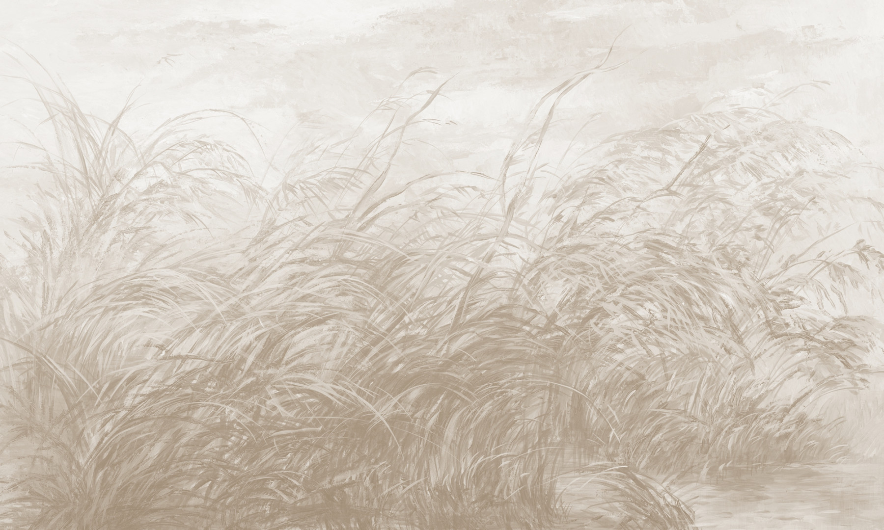 Papier peint Early Dawn 3 – Rauv