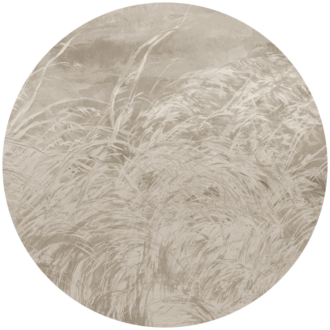 Papier peint Early dawn 4 – Rauv