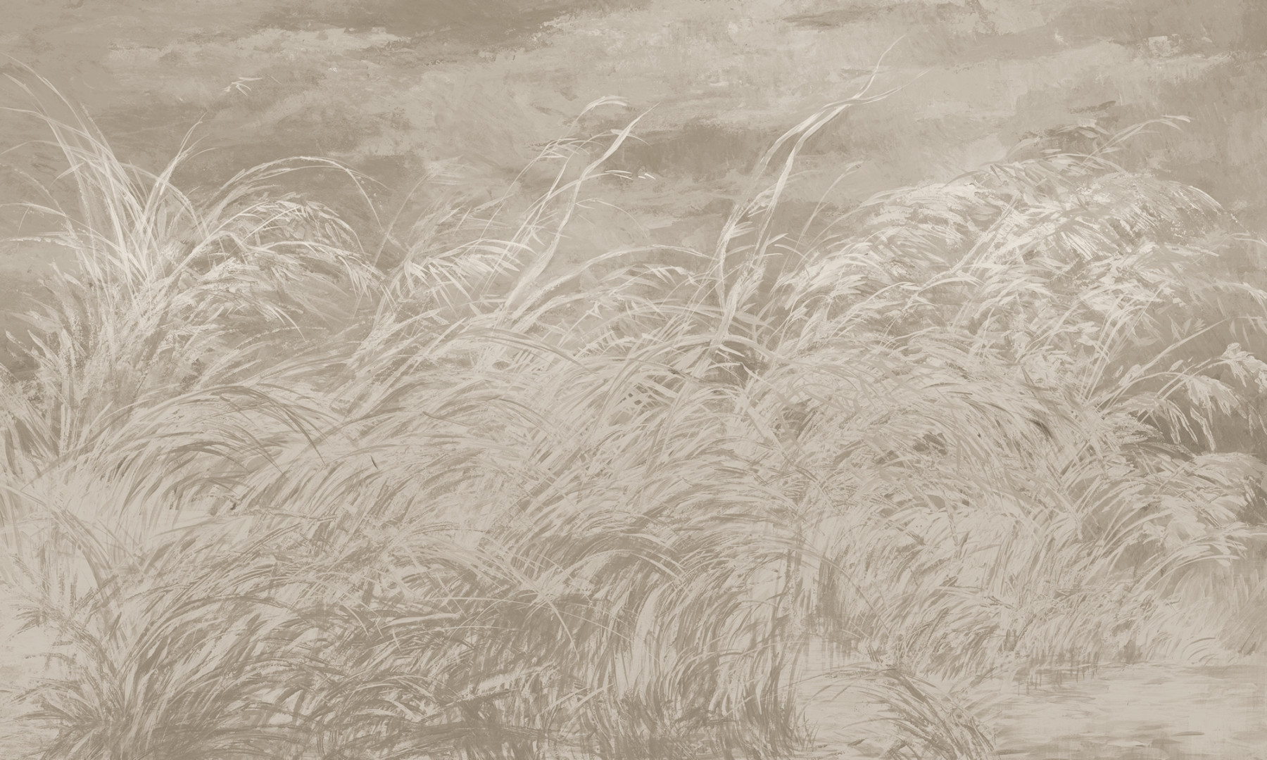 Papier peint Early dawn 4 – Rauv