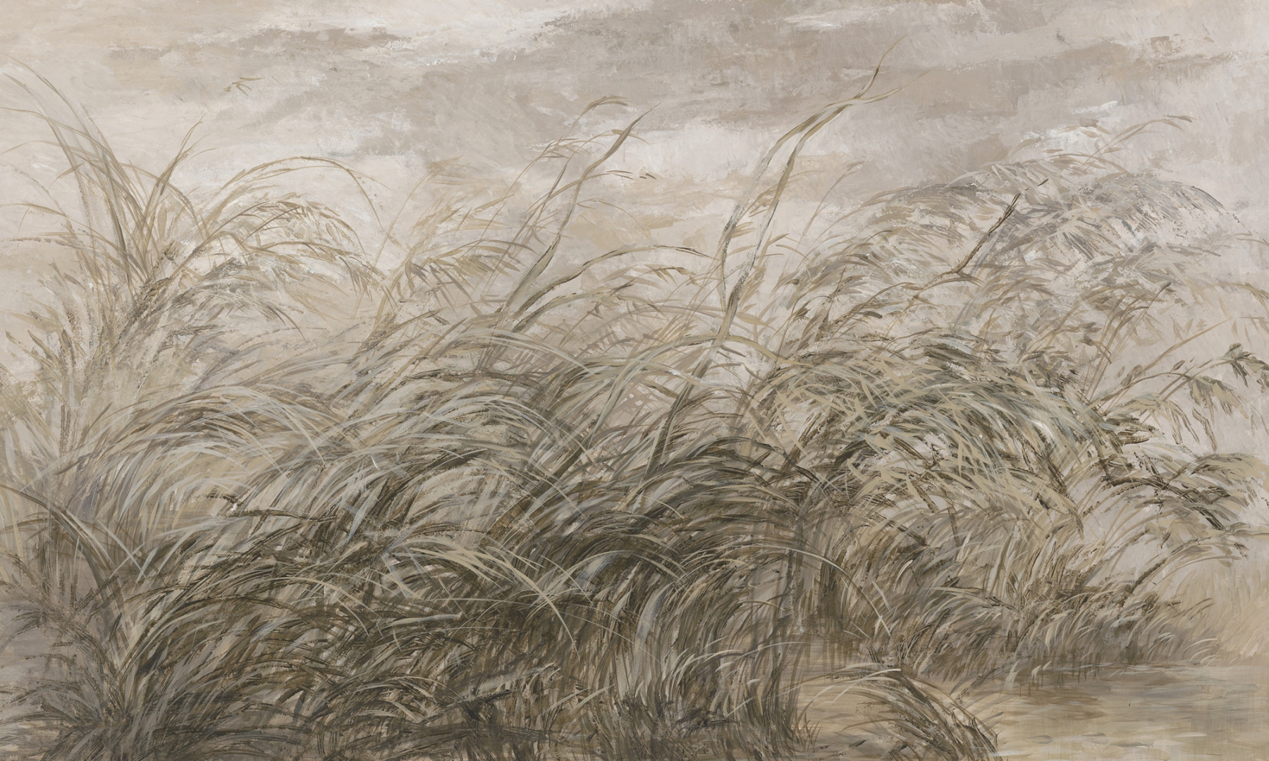 Papier peint Early dawn – Rauv