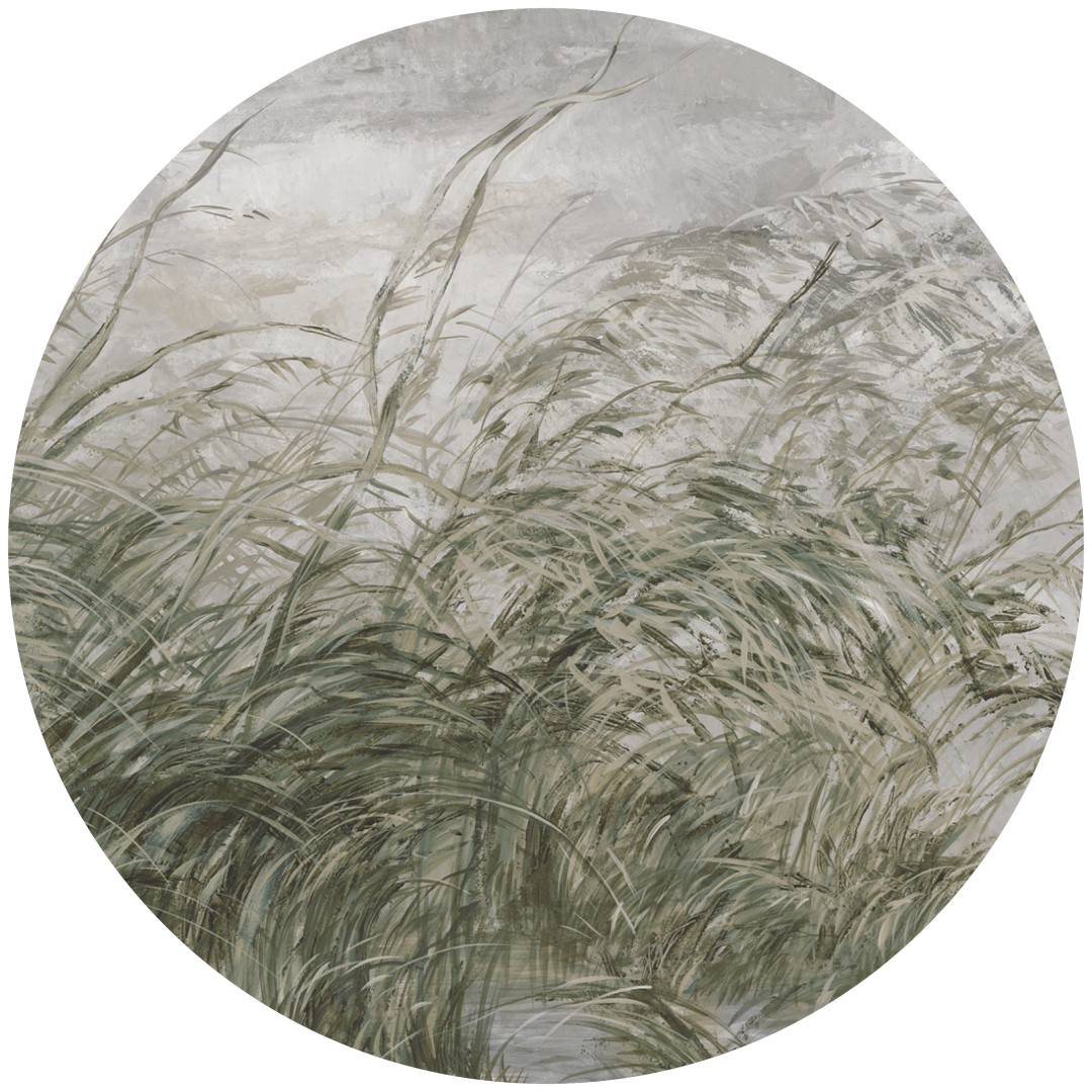 Papier peint cercle Early Dawn 2 – Rauv