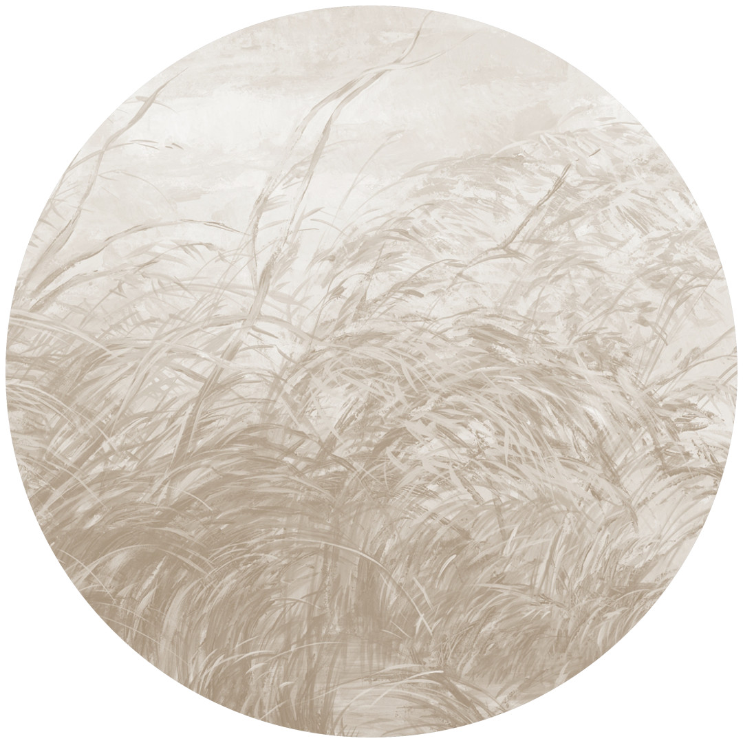 Papier peint cercle Early Dawn 3 – Rauv