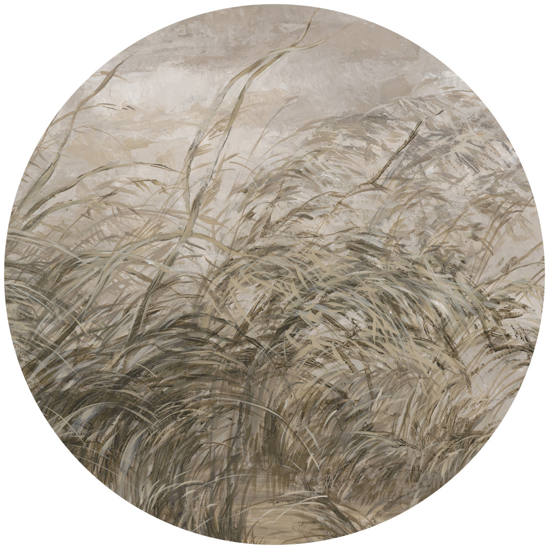 Papier peint cercle Early Dawn