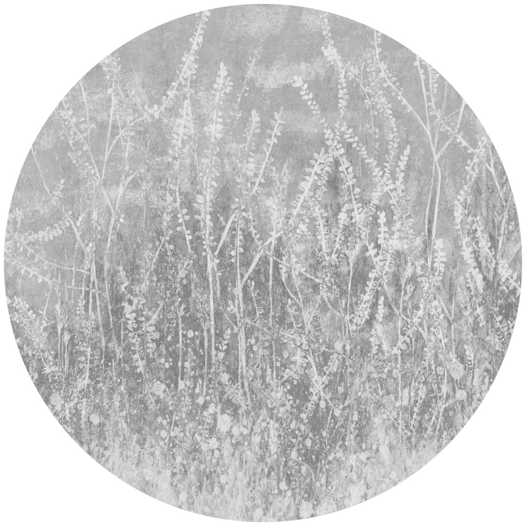 Papier peint cercle Golden Reeds 2 – Rauv