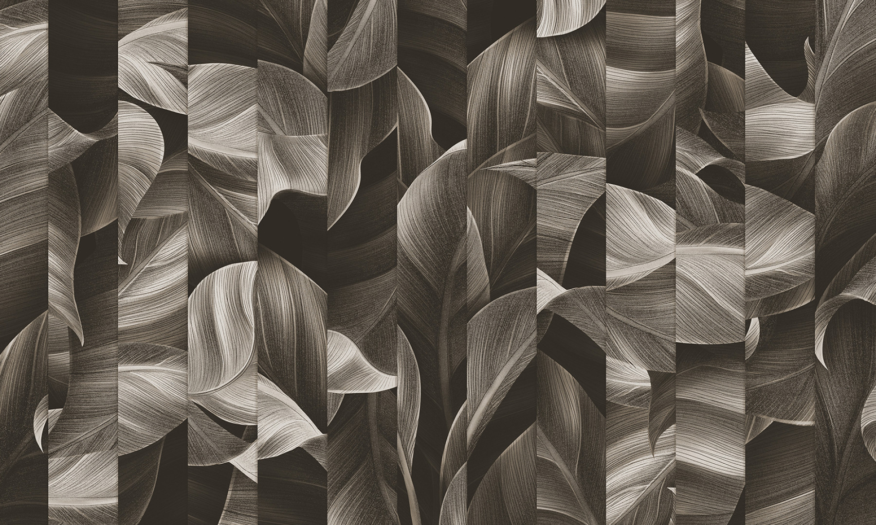 Papier peint Tropical overview 2 – Rauv