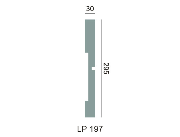 Cadrage LP 197 – Rhinst