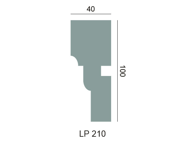 Profil multifonctionnel LP 210 – Rhinst