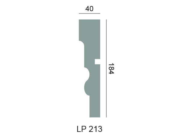 Profil multifonctionnel LP 213 – Rhinst