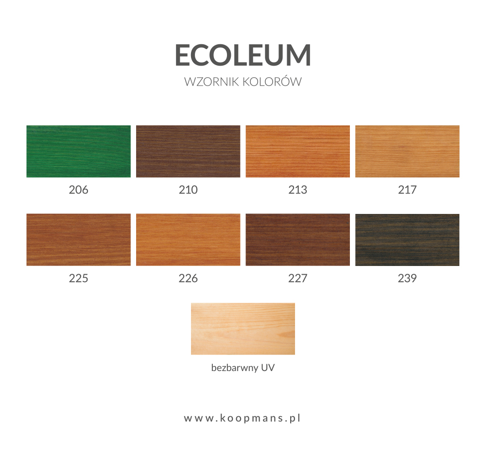 Koopmans ECOLEUM 2,5L – Lasure à l'huile pour bois – AlgaWood