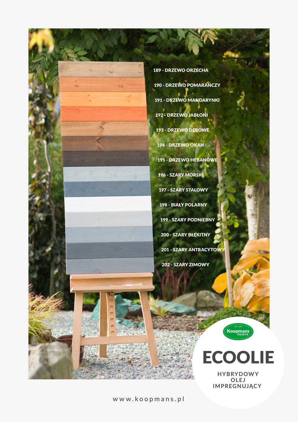 Koopmans Ecoolie 2,5L – Colorants spéciaux – Huile d'imprégnation hydrosoluble pour bois – AlgaWood