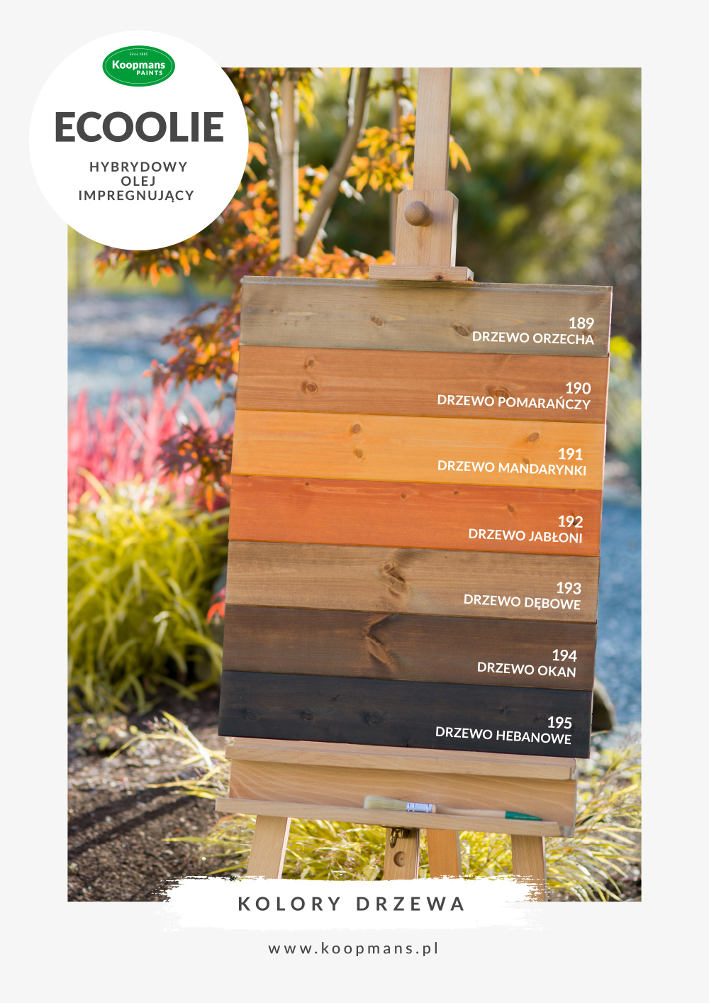Koopmans Ecoolie 2,5L – Couleurs standards – Huile d'imprégnation hydrosoluble pour bois – AlgaWood