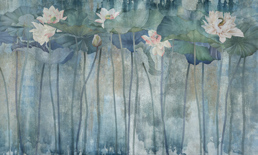 Acqua – Wonderwall Studio