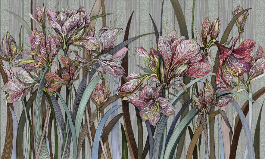 Amaryllis – Wonderwall Studio