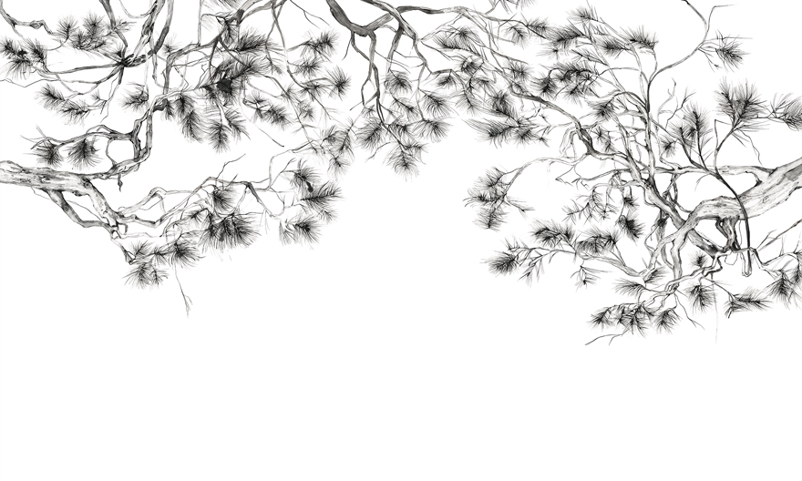 Arbor – Wonderwall Studio
