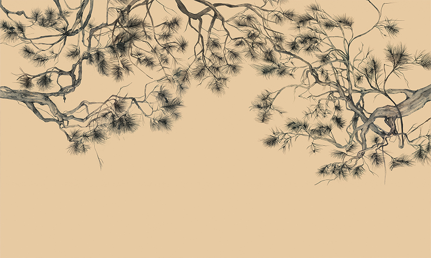Arbor – Wonderwall Studio