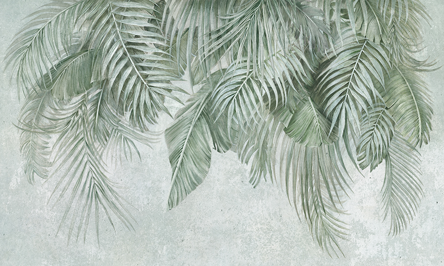 Areca – Wonderwall Studio