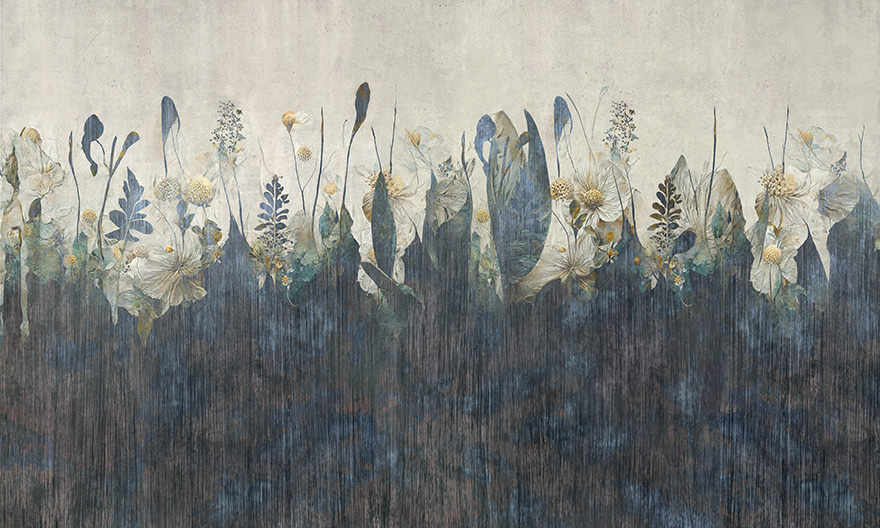 Cassia – Wonderwall Studio