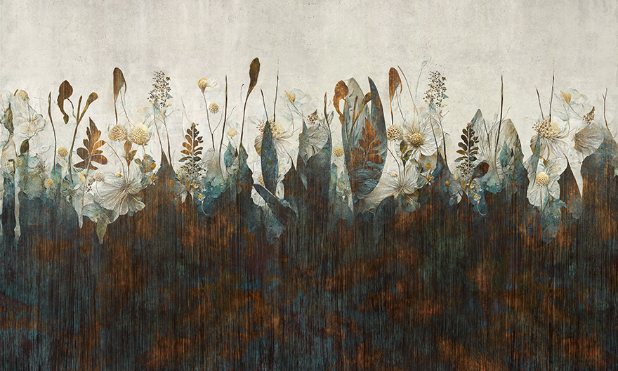 Cassia – Wonderwall Studio