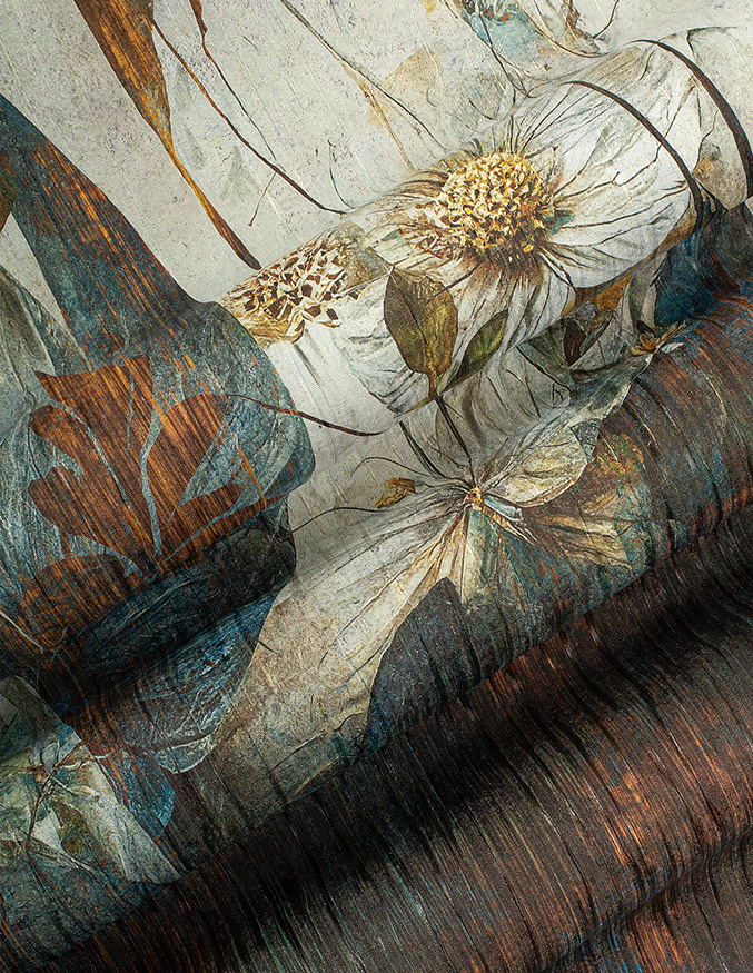 Cassia – Wonderwall Studio