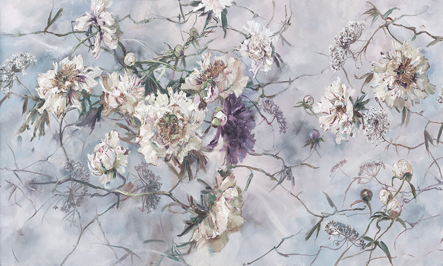 Charlotte – Wonderwall Studio