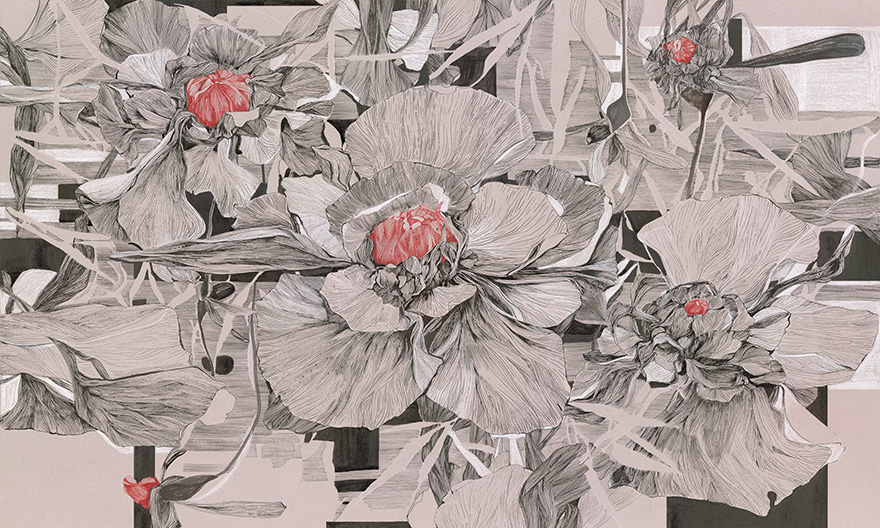 Cornelia – Wonderwall Studio