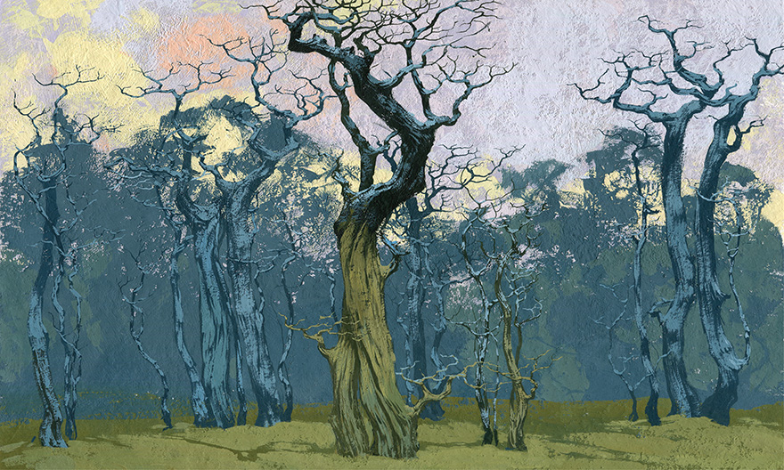 Fangorn – Wonderwall Studio