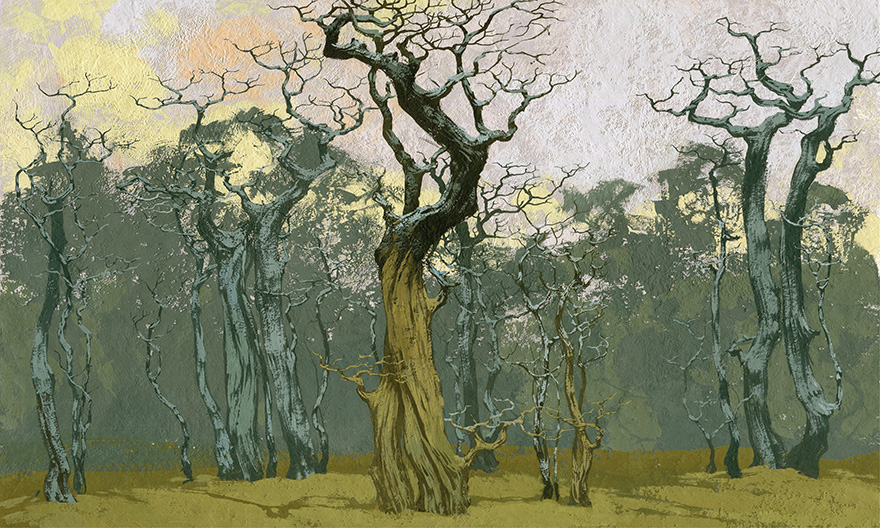 Fangorn – Wonderwall Studio