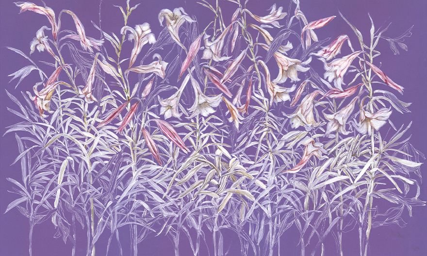 Flourish – Wonderwall Studio