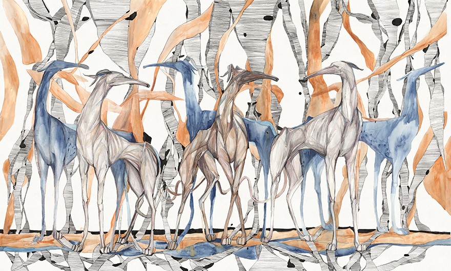 Galgo – Wonderwall Studio