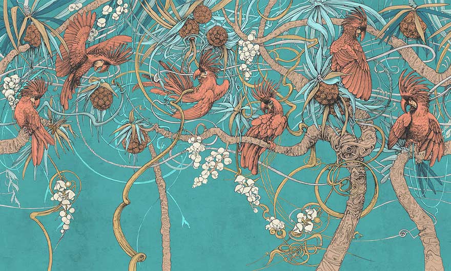 Kakadu – Wonderwall Studio