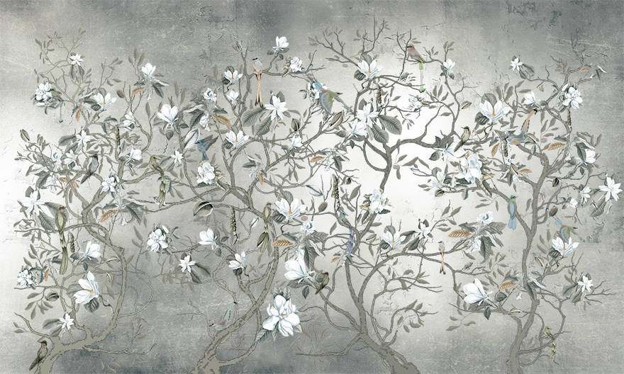Primavera – Wonderwall Studio