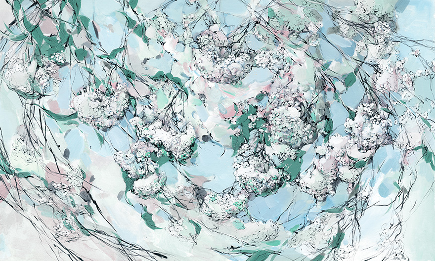 Pure – Wonderwall Studio