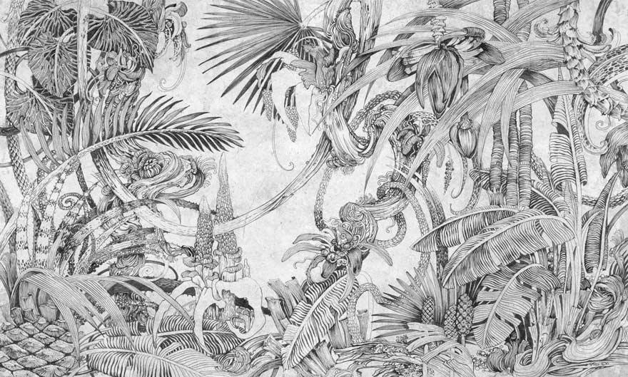 Tropic – Wonderwall Studio