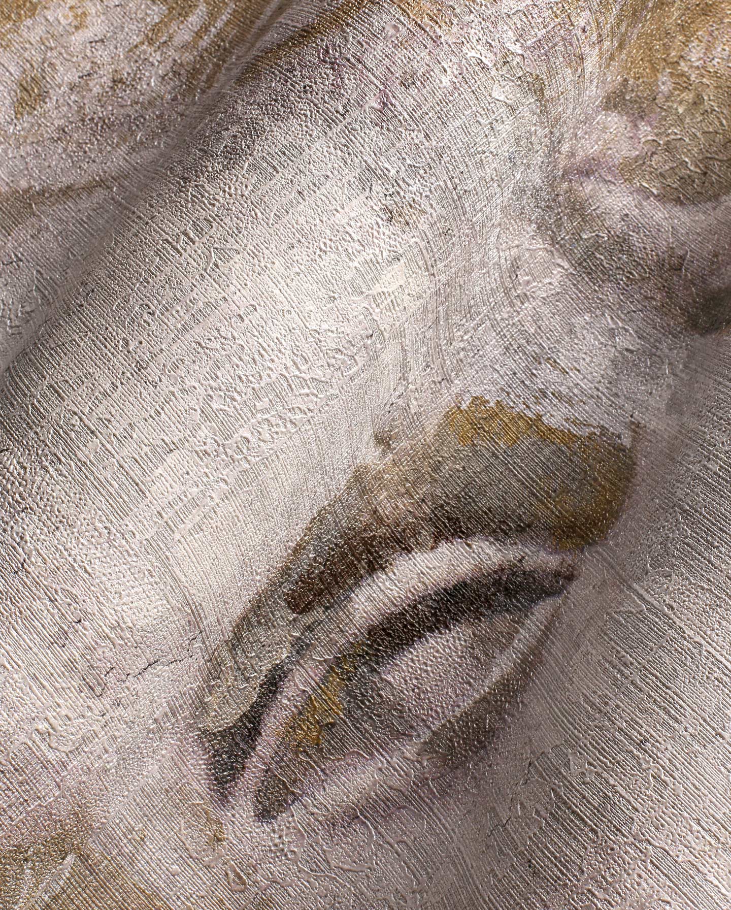Venus – Wonderwall Studio