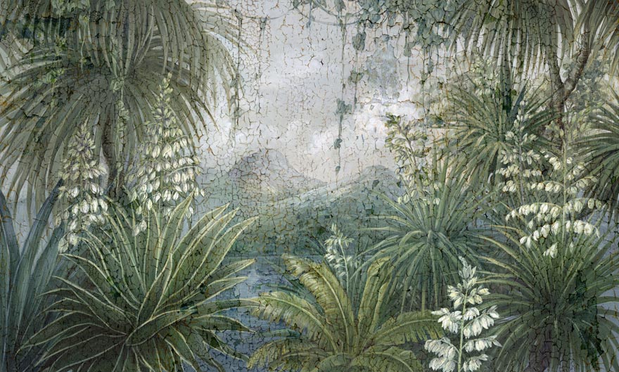 Yucca – Wonderwall Studio